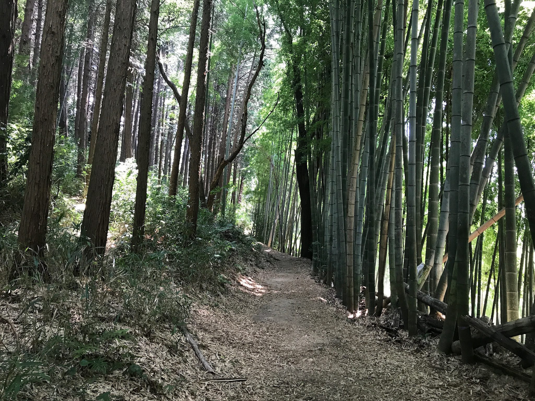 Hike to the top