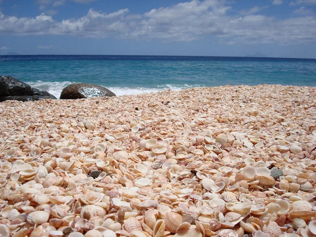 Shell Beach, Gustavia, St. Barths