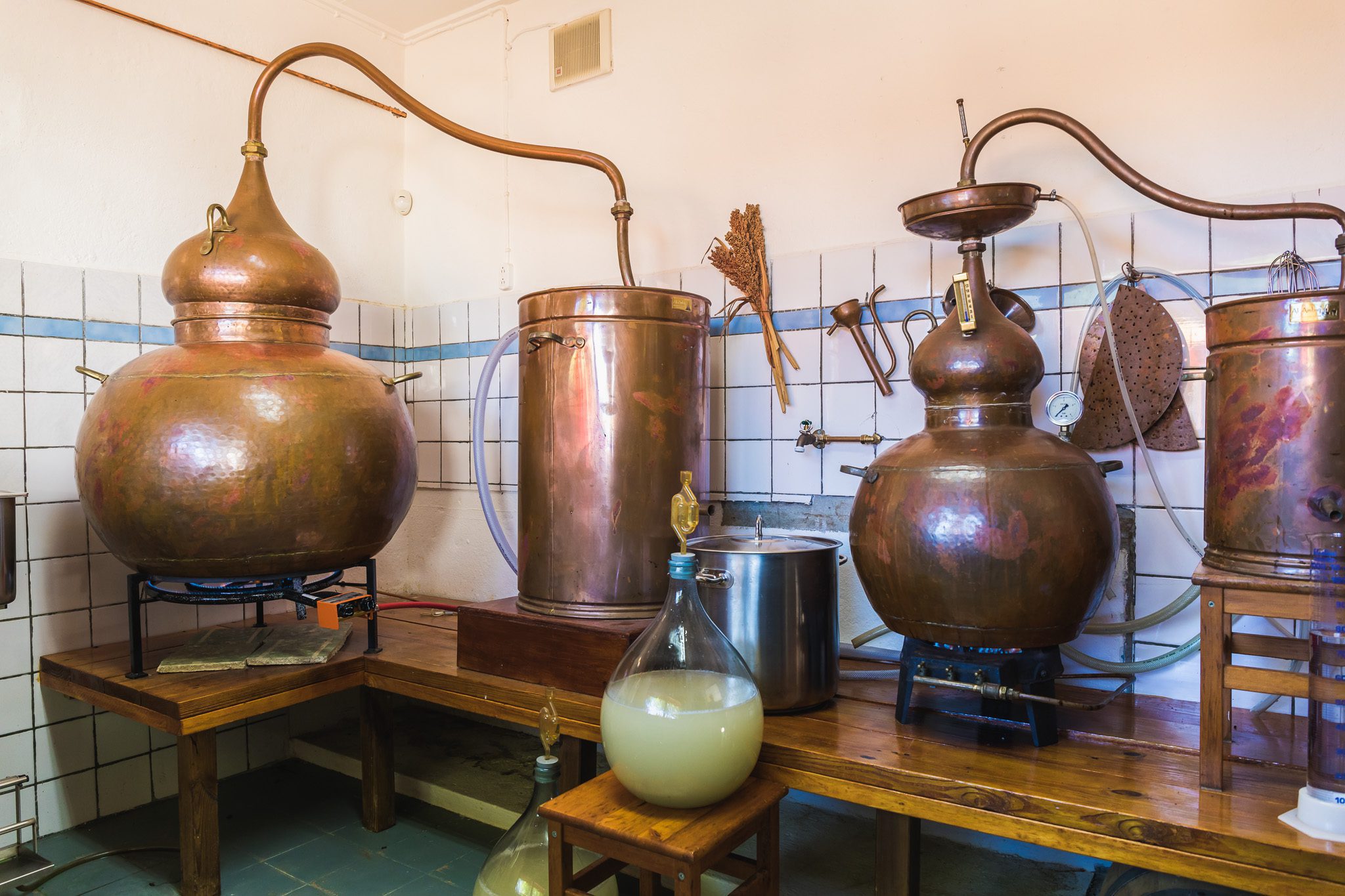 Cadushy Distillery Bonaire