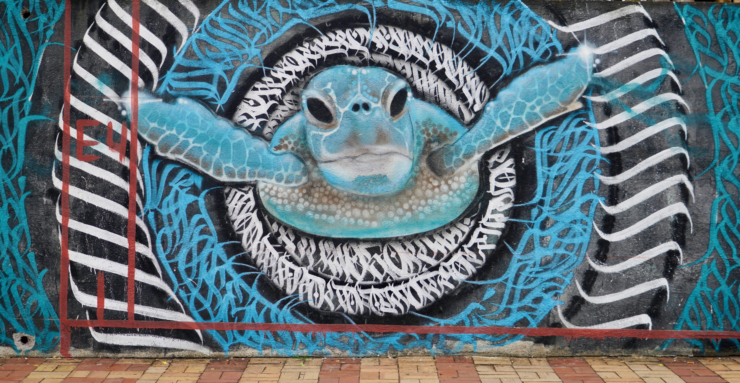 Santa Cruz. Galapagos