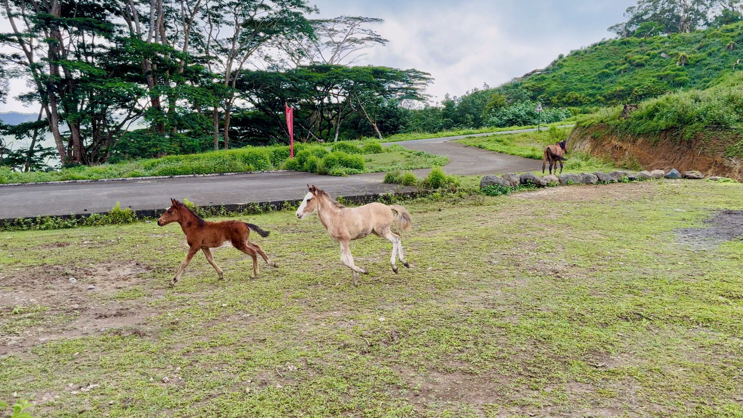 Tekeika, Nuku Hiva