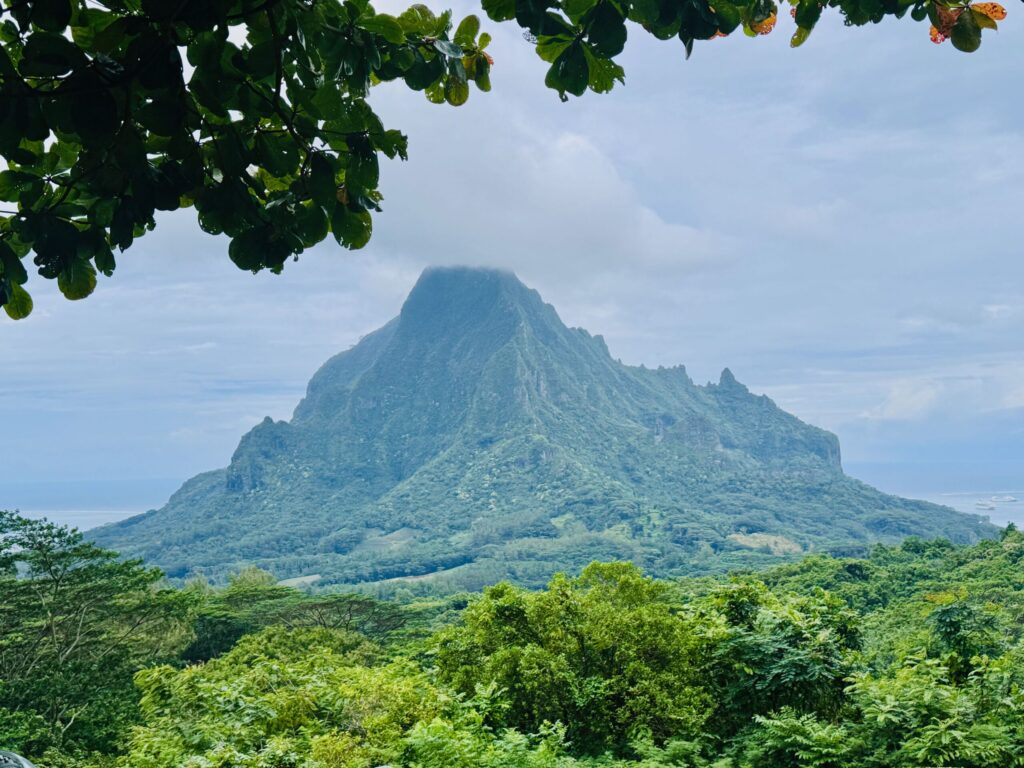 Belvédère d'Opunohu, Mo'orea