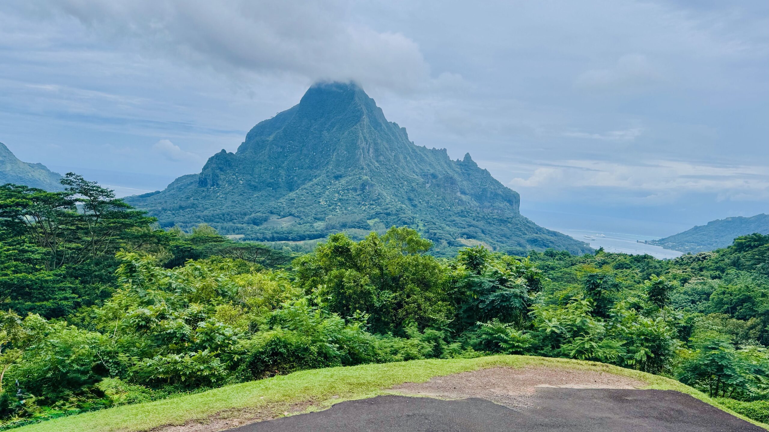 Belvédère d'Opunohu, Mo'orea