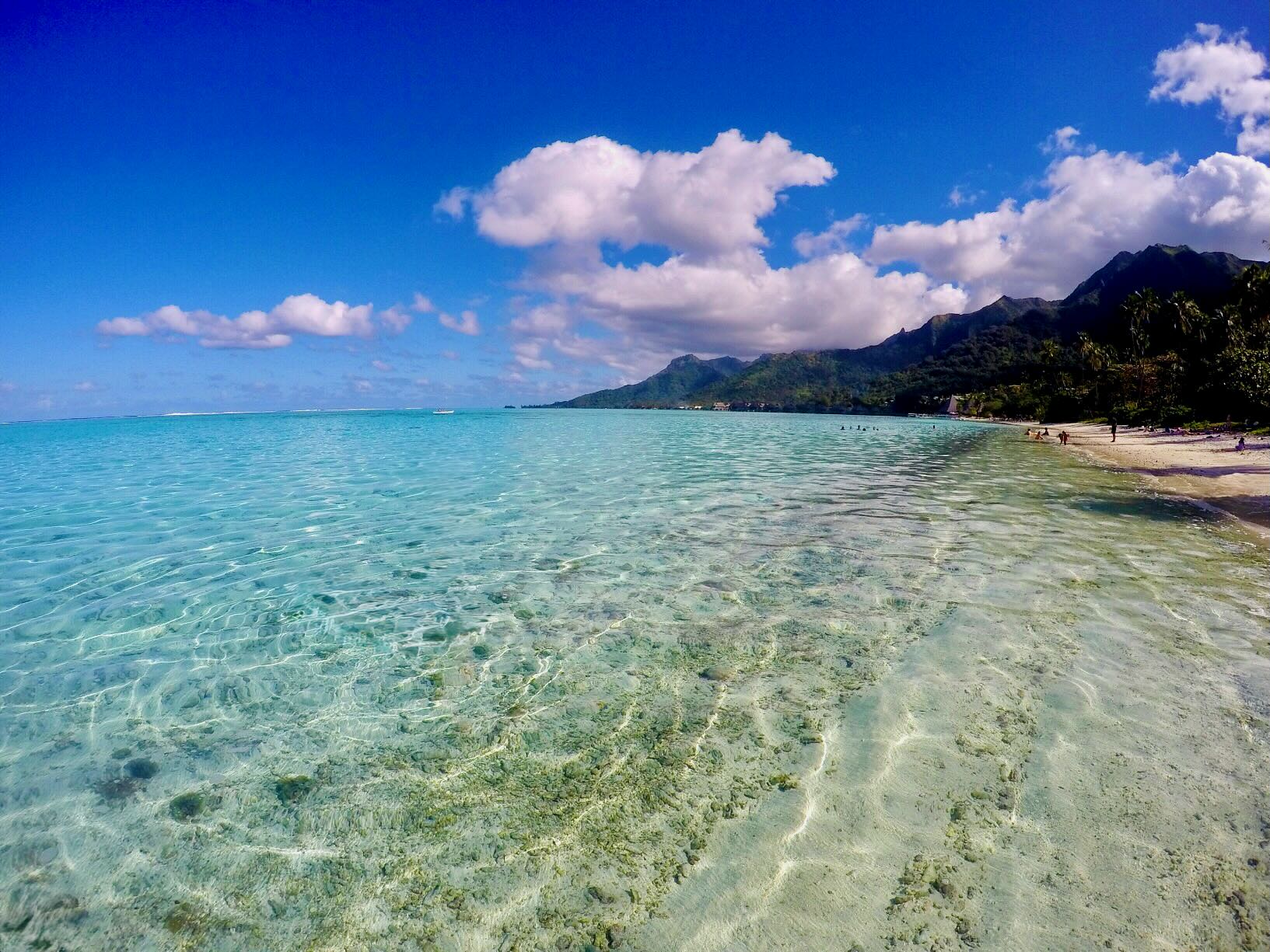 Plage de Ta'ahiamanu, Mo'orea