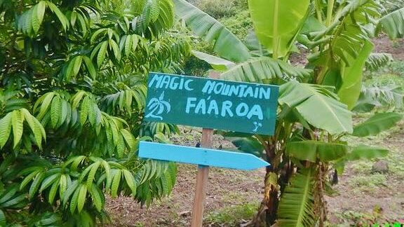 Magic Mountain, Mo'orea