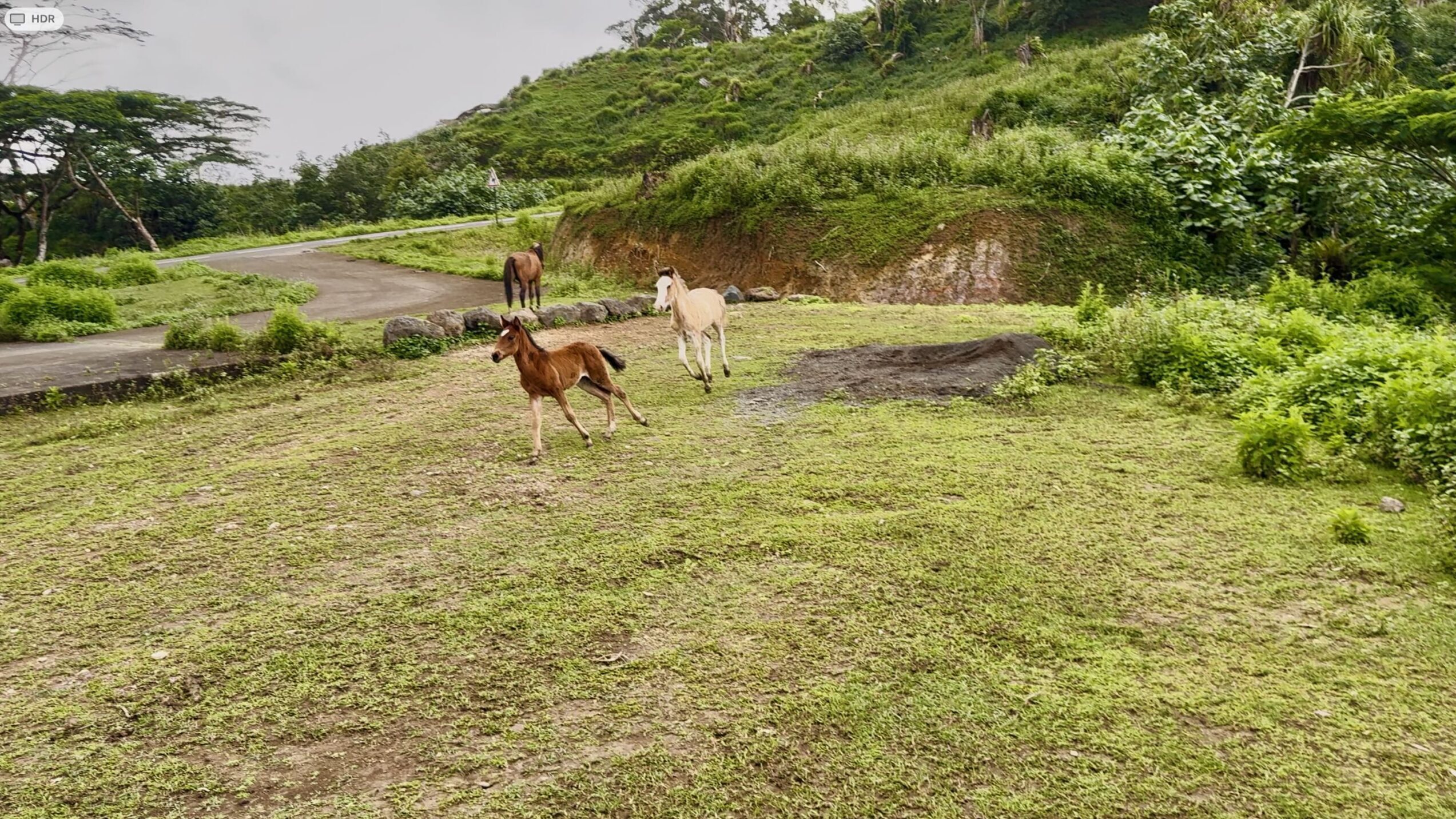 Tekeika, Nuku Hiva