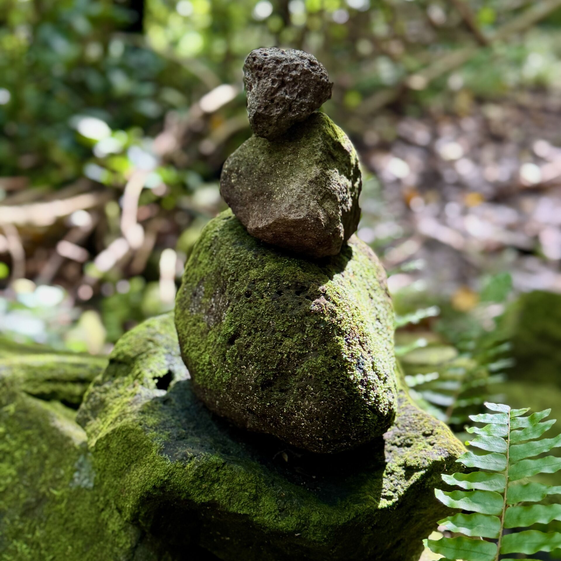 Fatu Hiva scenery