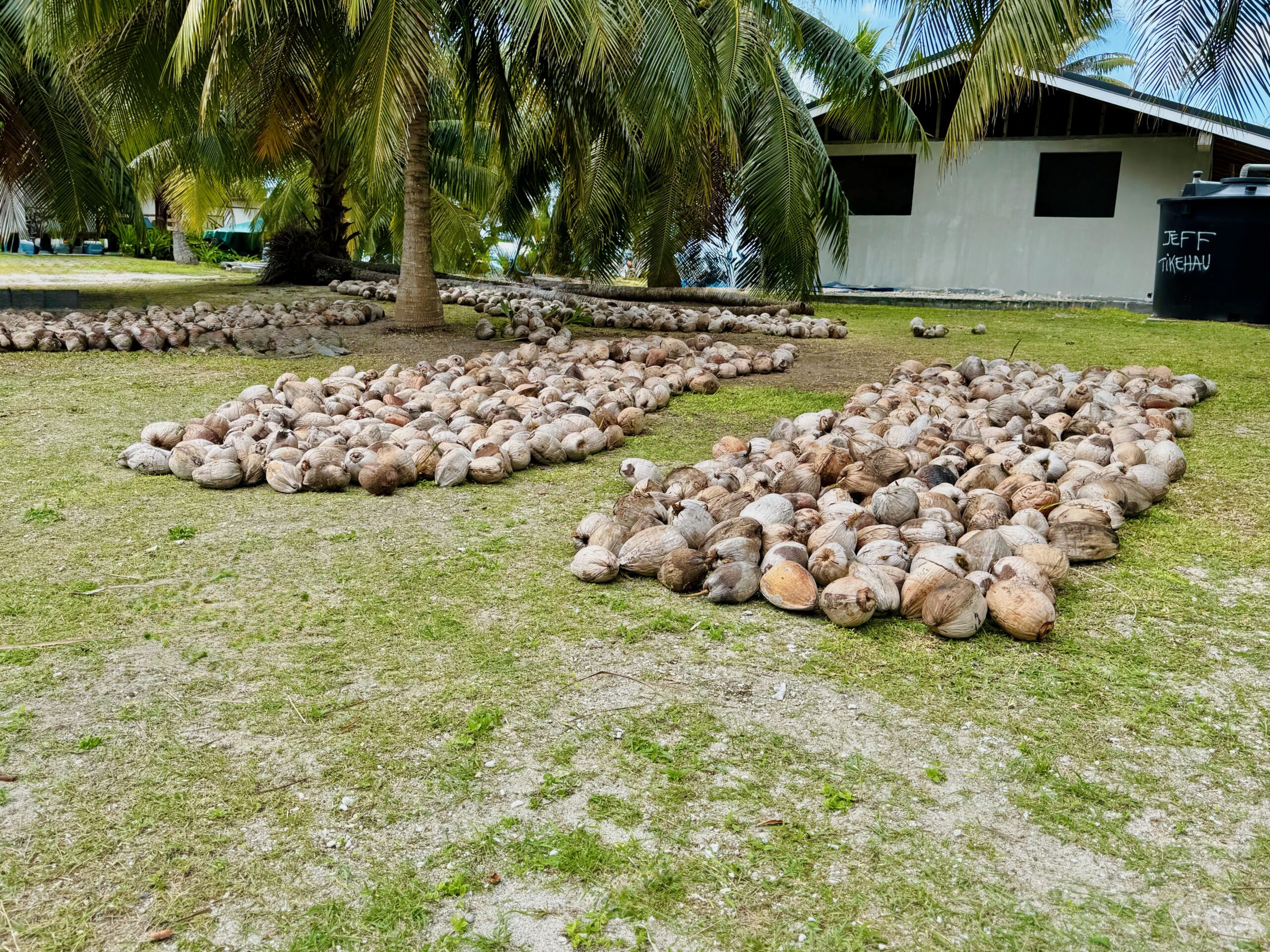 Tikehau home