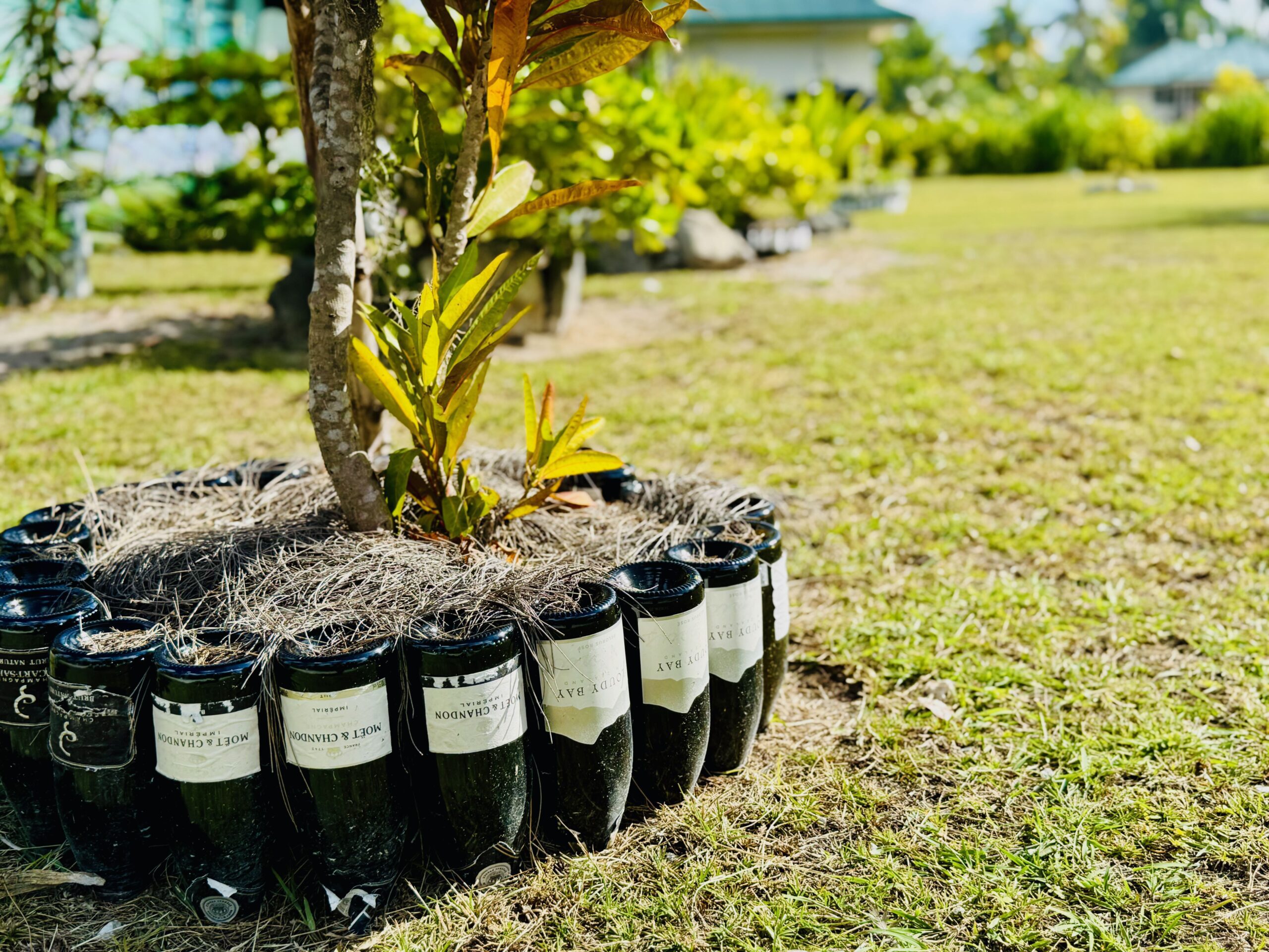 Tikehau home