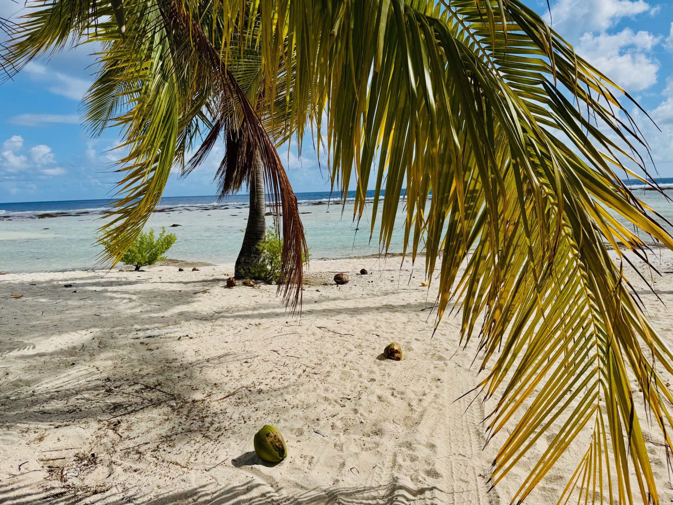 Tikehau beach