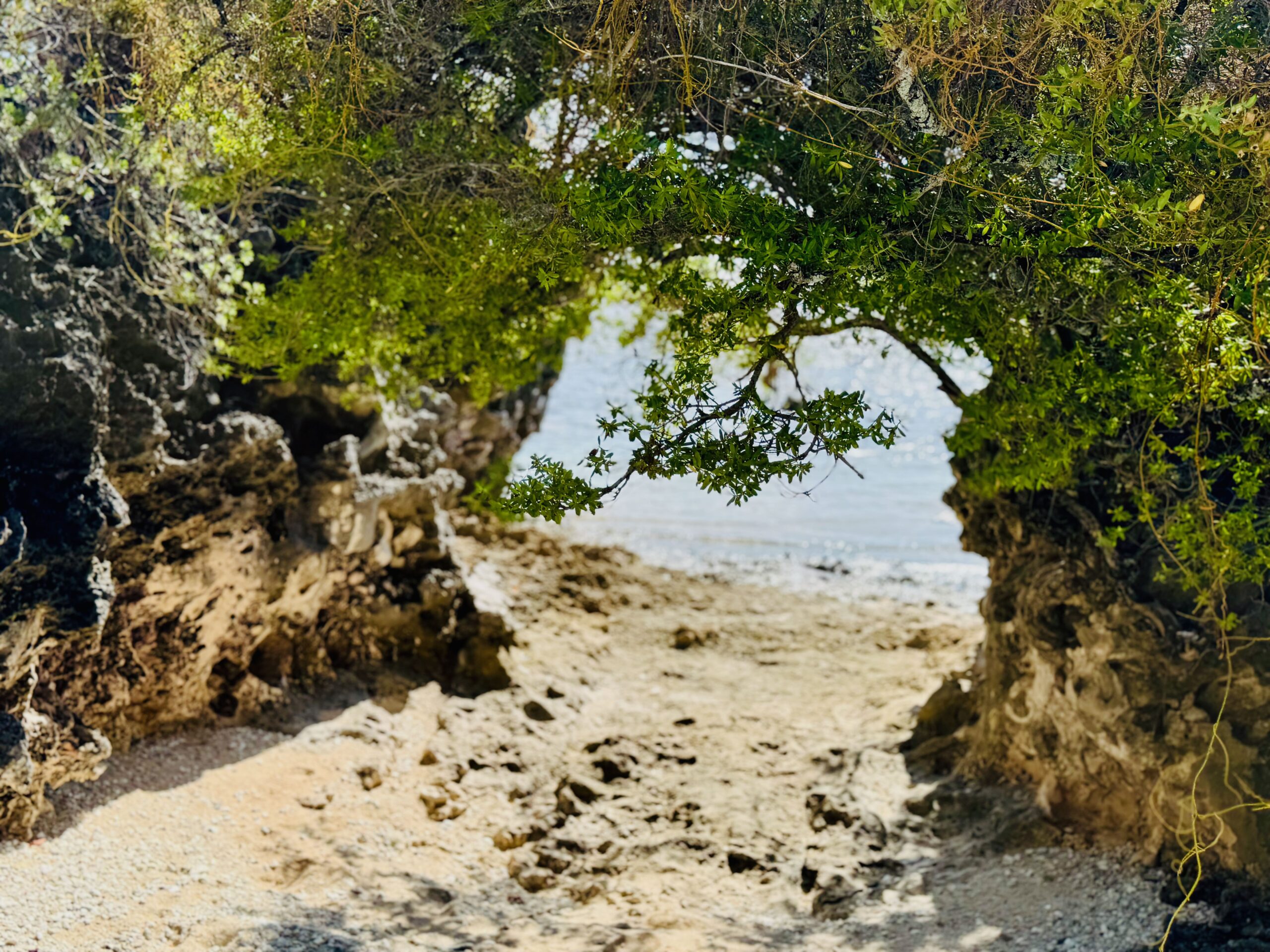 Tikehau Hina's Bell Beach