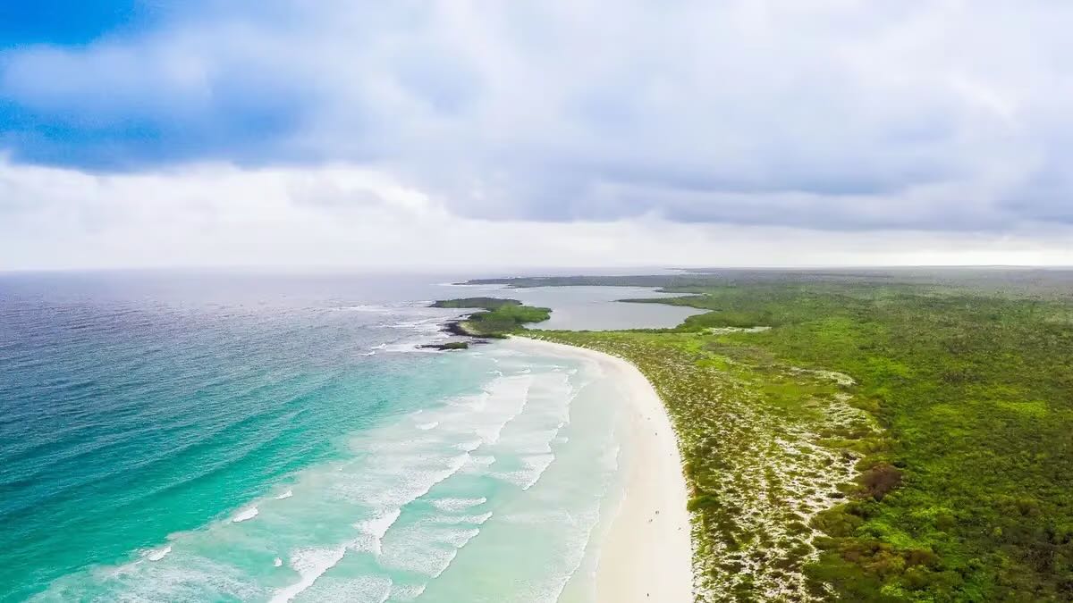 Santa Cruz. Galapagos