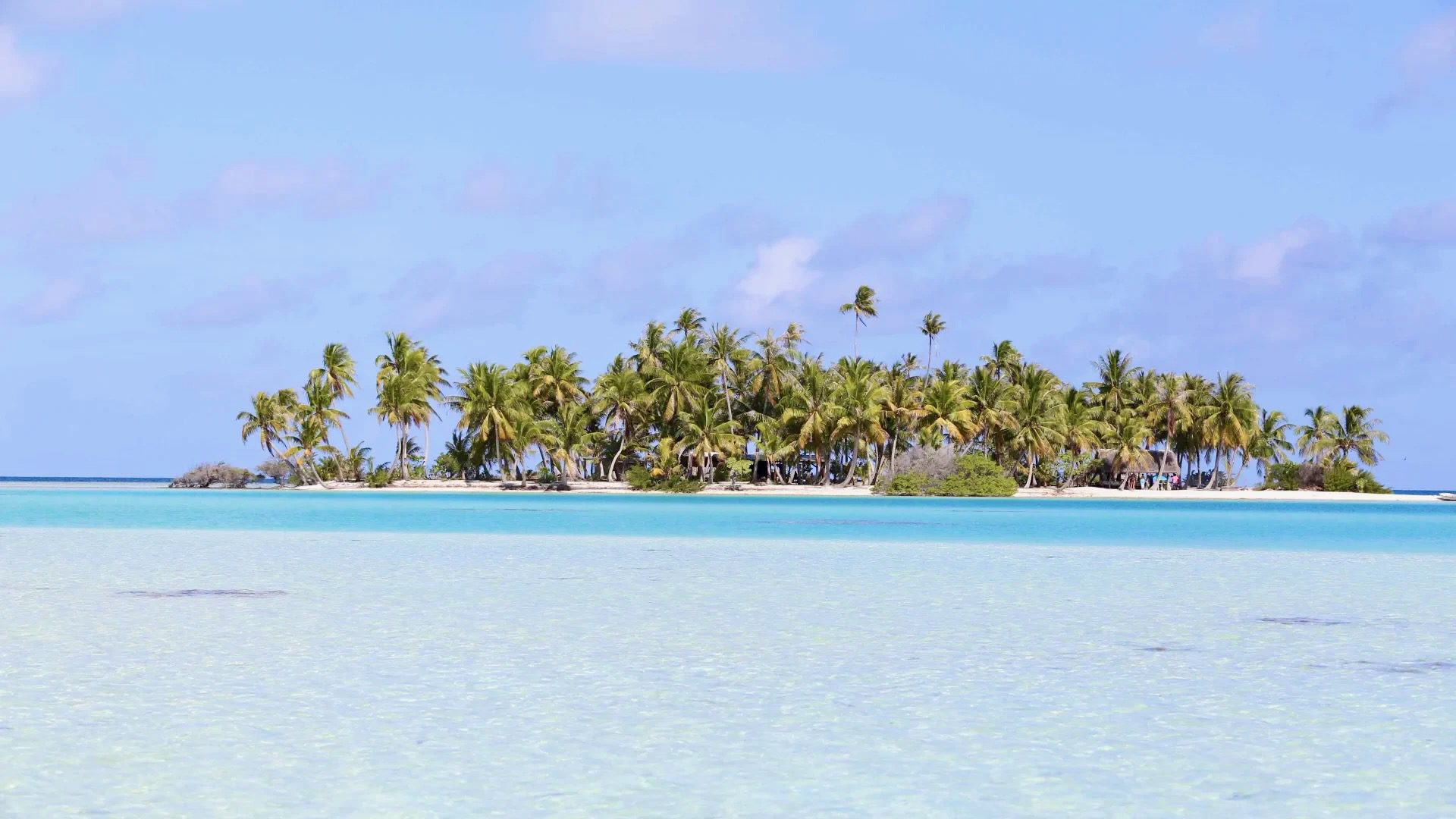 A view of the Toau atoll from the water