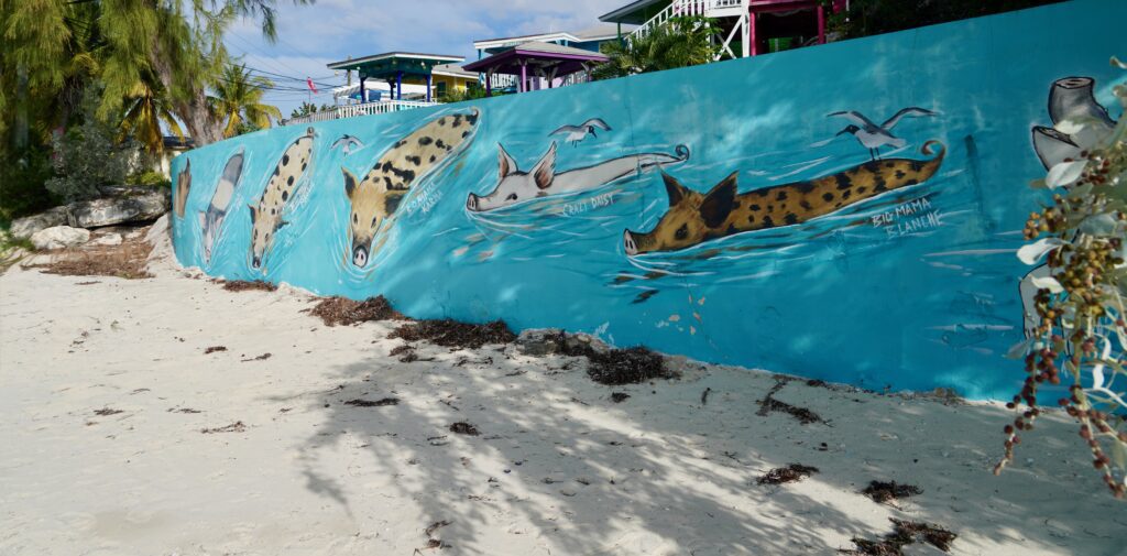 Staniel Cay