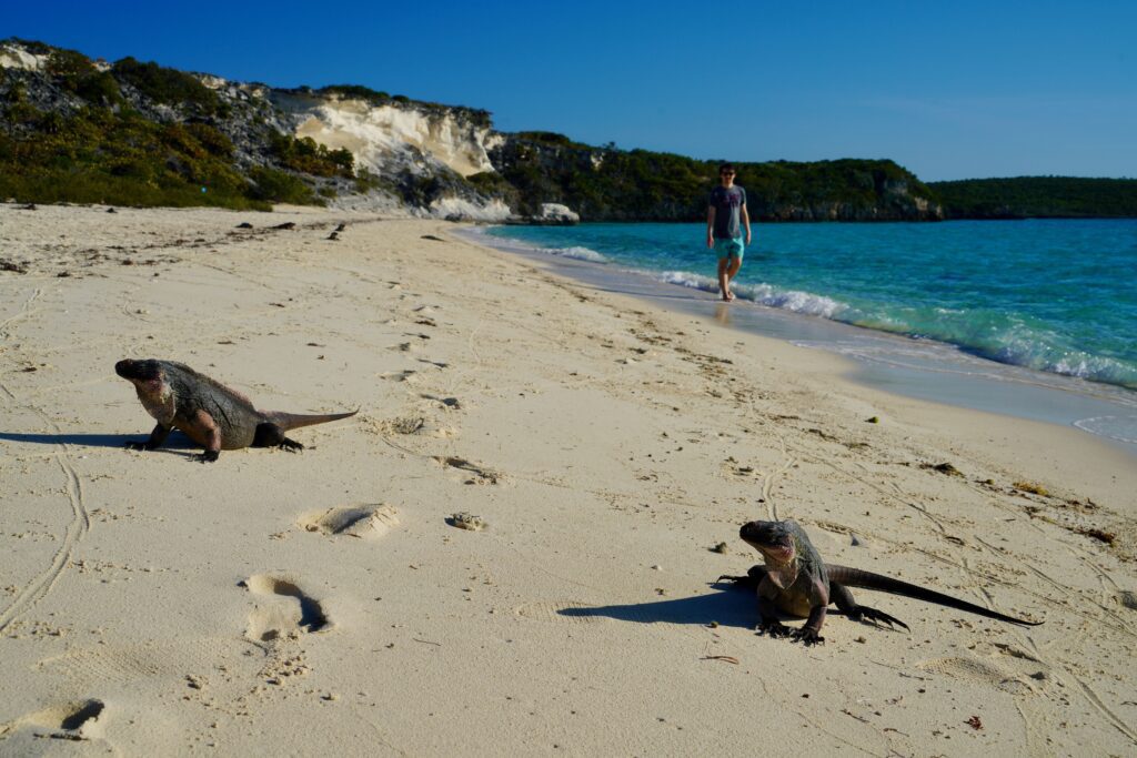 Bitter Guana Cay