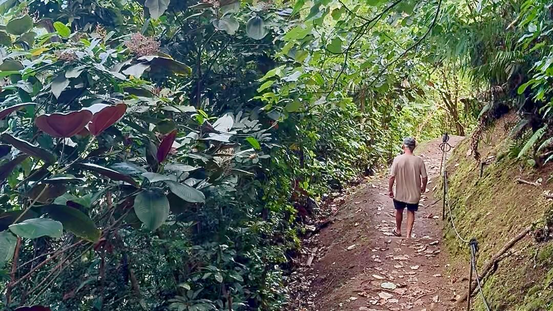 The Great Loop to River Trail