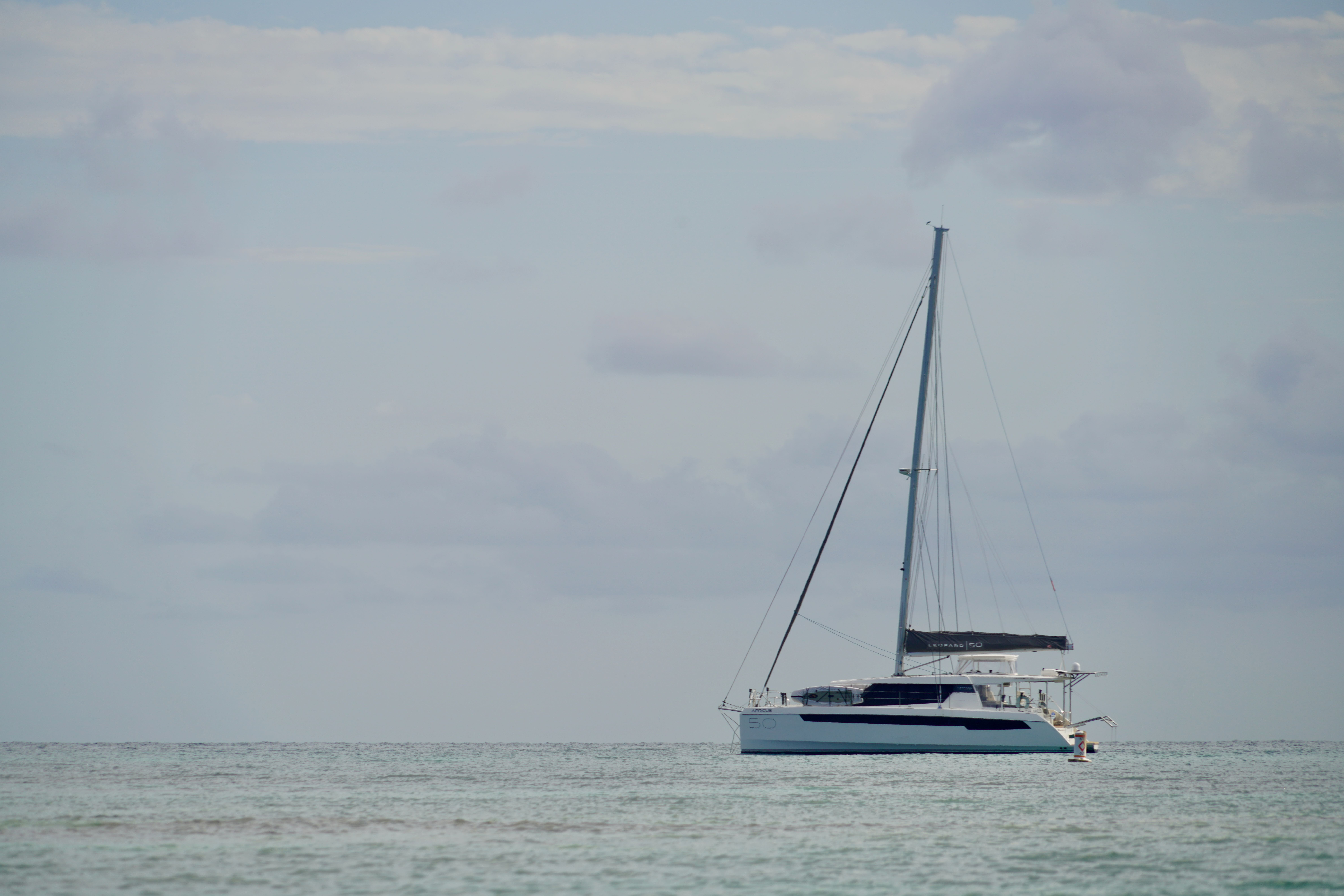 The shoreline of Cayo Santiago seen from a dinghy