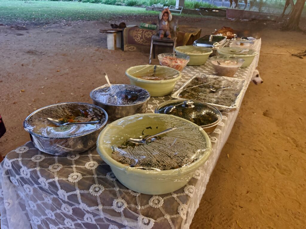 Vava'u Umu Feast