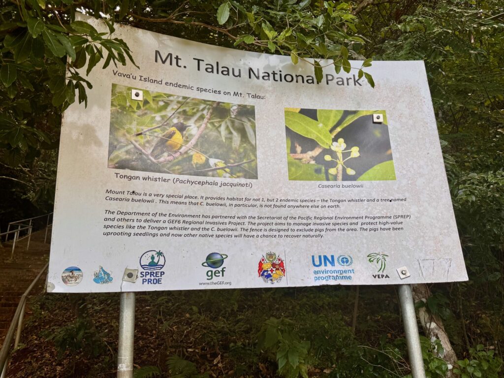 Mount Talau, Vava'u, Tonga
